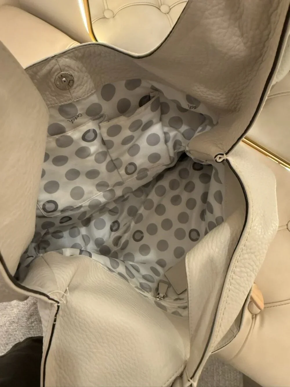 Coach Hobo Bag